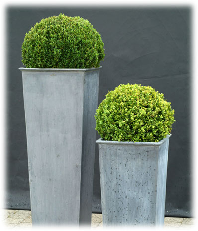 Bacs et jardinieres Rita Jordens