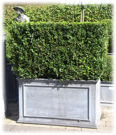 Bacs et Jardinières Rita Jordens