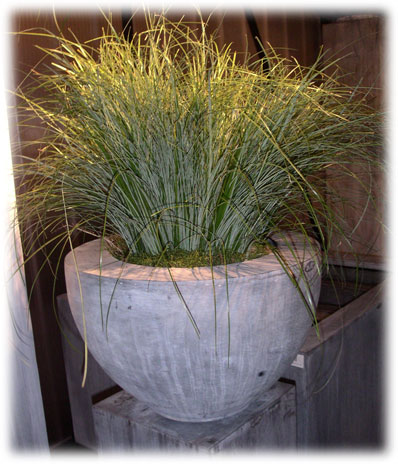 Bacs et Jardinières Rita Jordens