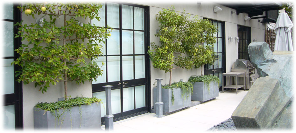 Bacs et Jardinières Rita Jordens