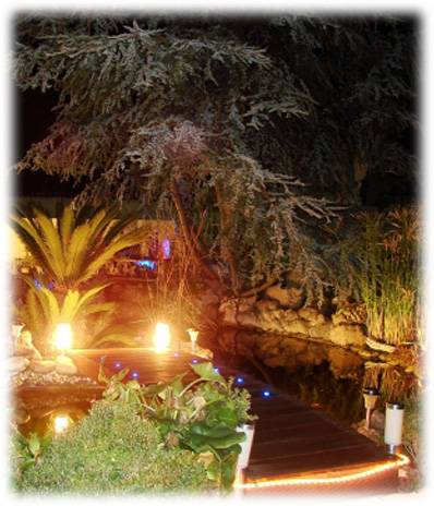 Luminaires