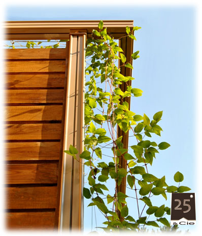 pergolas_verandas