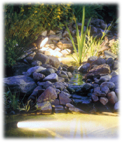 Cascades