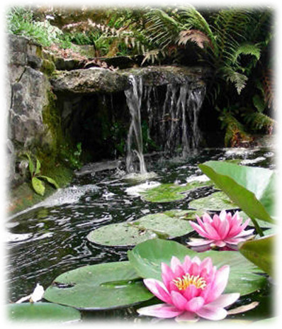 Cascades